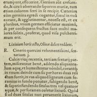 0310 - Page 291 - Lixivium horis octo, Olivas dulces reddens
