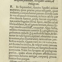 0319 - Page 300 - Iulapium solutivum, ex ligustri acinis, ad Podagram / Oleum contra venena, optimum & probatum