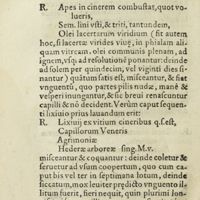 0343 - Page 324 - Ad Barbam & capillos gignendos, qui postea non defluant, probatum