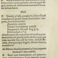0358 - Page 339 - Aliud / Aliud / Ad delendas maculas atramenti, uel uini, ex pannis linteis, uel è lana confectis