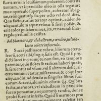 0362 - Page 343 - Color viridis, smaradgo similis / Ad marmora, & alabastrum, coeruleo, uel violaceo colore inficienda