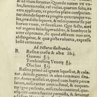 0363 - Page 344 - Rosae uel flores caryophyllorum, quomodo insigniantur / Ad picturas illustrandas