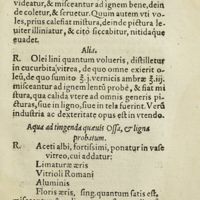 0364 - Page 345 - Alia quae cito siccescit / Alia / Aqua ad tingenda quaevis ossa, & ligna probatum