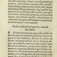 0369 - Page 350 - Modus conficiendi Margaritas, naturalibus similes