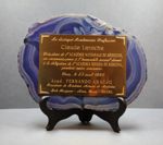 Plaque de l'Academia Mineira de Medicina