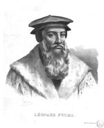 Fuchs, Leonhard / Leonhart (1501-1566)