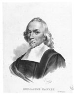 Harvey, William (1578-1657)