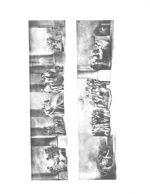 Décoration des Ecoles de chirurgie et de médecine. Paris