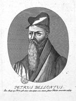 Belon, Pierre (1517-1564)