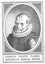 L'Ecluse / Clusius, Charles de / Carolus (1526-1609)