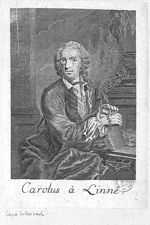 Linne, Carl von (1707-1778)