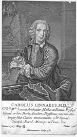 Linne, Carl von (1707-1778)