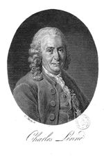 Linne, Carl von (1707-1778)