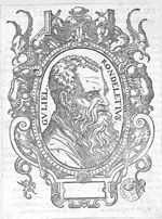 Rondelet, Guillaume (1507-1566)