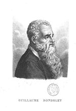 Rondelet, Guillaume (1507-1566)