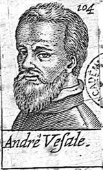 Waterson, Anthony Peter (1923-1983)