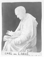 Linne, Carl von (1707-1778)