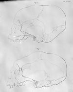 Anatomie et physiologie du système nerveux en général, et du cerveau en particulier