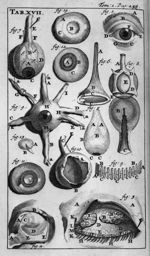 Anatomia reformata