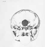 Anatomie et physiologie du système nerveux en général, et du cerveau en particulier