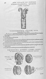 De humani corporis fabrica libri septem