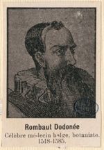 Dodonée / Dodoens / Dodonoeus, Rombaut / Rembaut / Rembert (1518-1585)