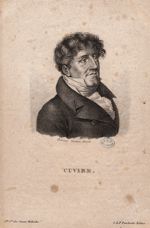 Cuvier