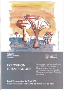 exposition_champignons