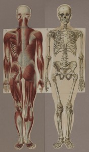 planches_Livre d-or de la Sante_1903