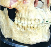 Cliquer pour agrandir Highslide JS