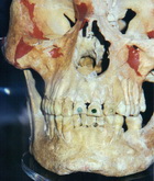 Cliquer pour agrandir Highslide JS