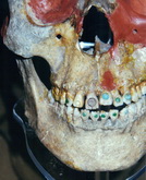 Cliquer pour agrandir Highslide JS