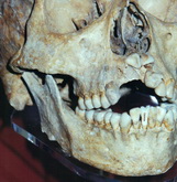 Cliquer pour agrandir Highslide JS