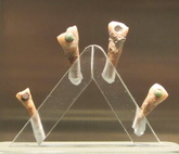 Cliquer pour agrandir Highslide JS