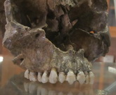 Cliquer pour agrandir Highslide JS