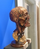 Cliquer pour agrandir Highslide JS